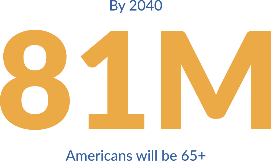 81 Logo
